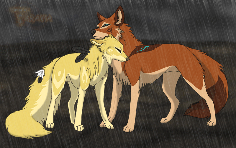 Анимация Два волка под дождем, гифка Два волка под дождем