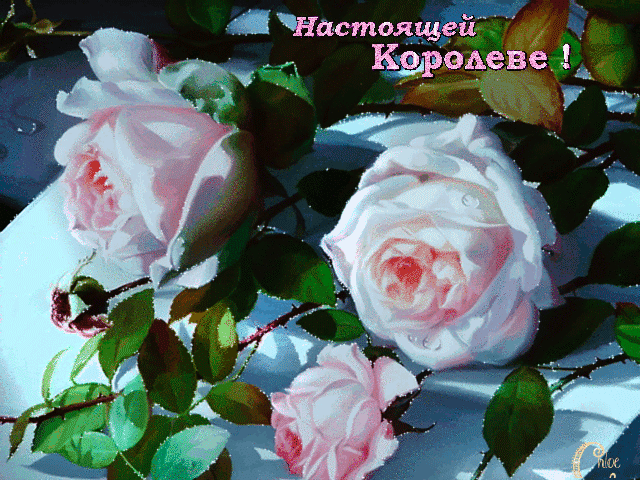 Анимация Три нежно - розовые розы для Королевы, (Настоящей Королеве!), автор Chloe, гифка Три нежно - розовые розы для Королевы, (Настоящей Королеве!), автор Chloe