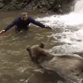 Анимация Мужчина играет с медвежонком в воде, гифка Мужчина играет с медвежонком в воде