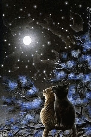 Аанимации Два одиноко сидящих на ветке дерева кота, смотрят на луну и звездное небо, на котором видно многочисленное созвездие кошек