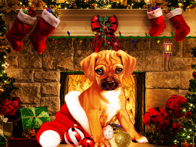 Анимация Коричневая собака сидит в новогодней шапочке на фоне огня в камине, новогодних игрушек, рождественских сапожков, гифка Коричневая собака сидит в новогодней шапочке на фоне огня в камине, новогодних игрушек, рождественских сапожков