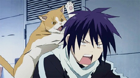 Анимация Yato / Ято из аниме Noragami / Бездомный бог дерет кот по кличке Воришка