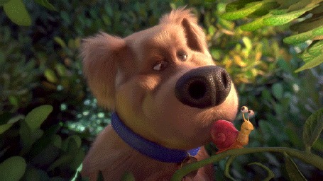 Анимация Дюк из мультфильма Тайная жизнь домашних животных / The Secret Life of Pets хватает улитку