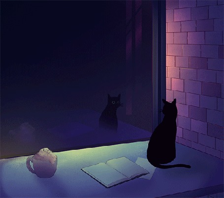 Анимация Кошка смотрит на свое отражение в окне, by comox draws