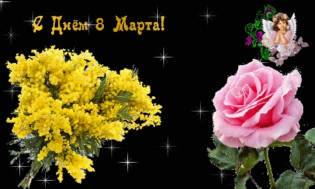 Анимация Мимозы и розовая роза, ангелочек, (С Днем 8 Марта!)