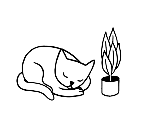 Анимация Кошка засыпает и цветок опускает листья, гифка Кошка засыпает и цветок опускает листья