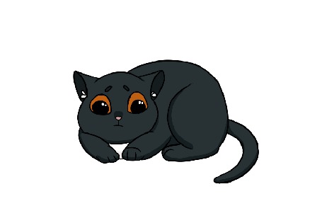 Анимация Черный котенок на белом фоне
