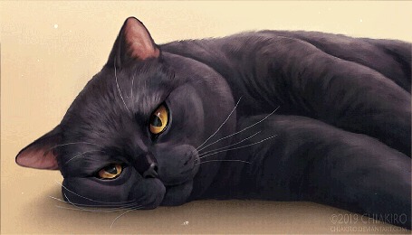 Анимация Черная кошка, by Chiakiro