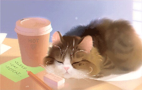 Анимация Кошка спит на столе, by Apofiss (SLEEP EAT REPEAT.)