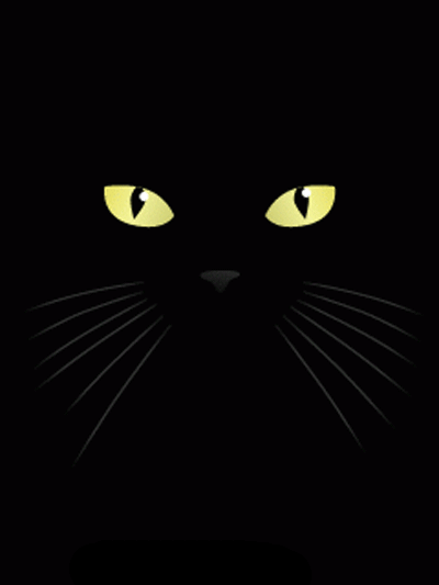 Анимация Мордочка кота с зелеными глазами, кот облизывает поверхность языком, на черном фоне, гифка Мордочка кота с зелеными глазами, кот облизывает поверхность языком, на черном фоне