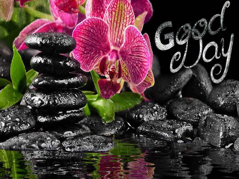 Анимация Цветы орхидеи на фоне камней и воды, (Good Day), гифка Цветы орхидеи на фоне камней и воды, (Good Day)