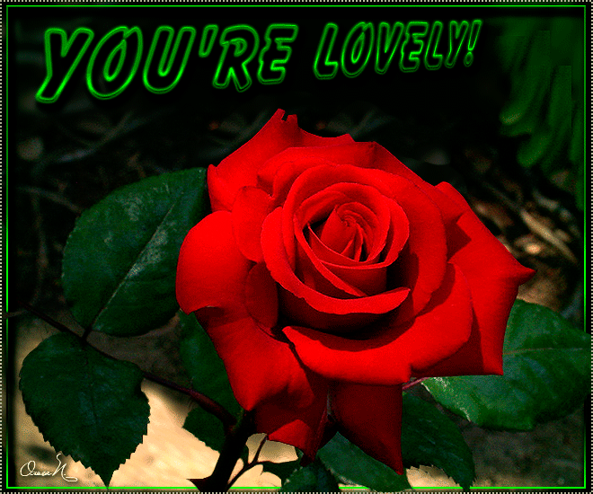 Анимация Красная роза с листьями, (YOU RE LOVELY!) by Ольга П, гифка Красная роза с листьями, (YOU RE LOVELY!) by Ольга П