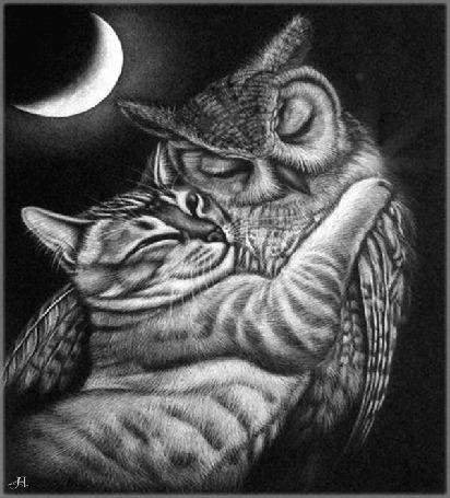 Анимация Кошка прижалась к сове на фоне луны, by A