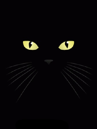 Анимация Мордочка кота с зелеными глазами, кот облизывает поверхность языком, на черном фоне