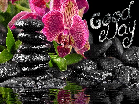 Анимация Цветы орхидеи на фоне камней и воды, (Good Day)