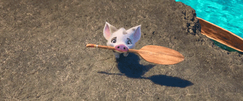 Анимация Оросенок Pua / Пуа из мультфильма Moana / Моана, гифка Оросенок Pua / Пуа из мультфильма Moana / Моана