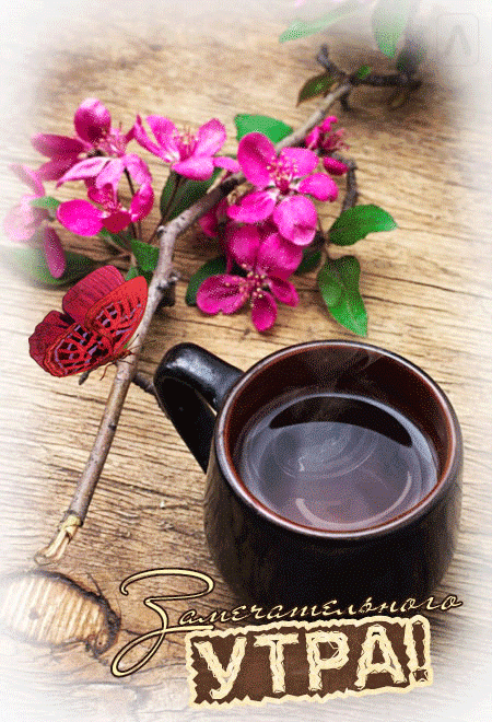 Анимация Чашка горячего кофе и бабочка на цветущей веточке, (Замечательного утра! ), гифка Чашка горячего кофе и бабочка на цветущей веточке, (Замечательного утра! )