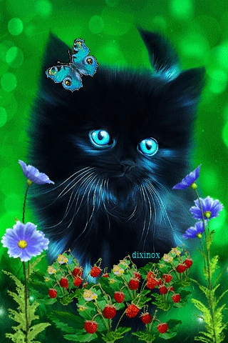 Анимация Черный котенок с голубыми глазами на фоне кустиков земляники с ягодами и сиреневых цветов, by dixinox, гифка Черный котенок с голубыми глазами на фоне кустиков земляники с ягодами и сиреневых цветов, by dixinox