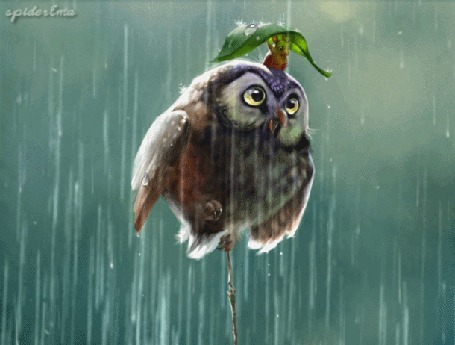 Анимация Сова сидит на ветке под дождем, by spiderEma