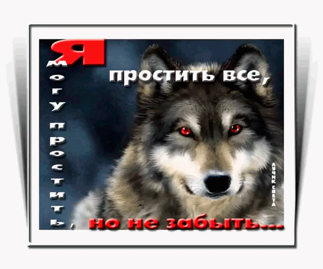 Анимация Волк с красными глазами что-то говорит, (Я могу простить, простить все, но не забыть), автор Лучик Света, гифка Волк с красными глазами что-то говорит, (Я могу простить, простить все, но не забыть), автор Лучик Света