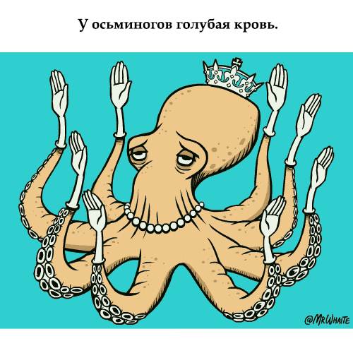 Анимация Осьминог машет ладошками (У осьминога голубая кровь), by MR Whaite, гифка Осьминог машет ладошками (У осьминога голубая кровь), by MR Whaite