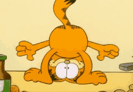 Анимация Кот Garfield / Гарфилд из одноименного мультфильма