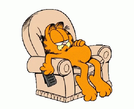 Анимация Кот Garfield / Гарфилд из одноименного мультфильма
