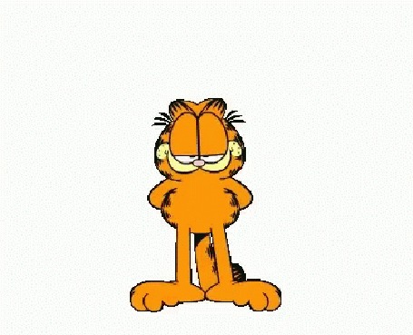 Анимация Кот Garfield / Гарфилд из одноименного мультфильма