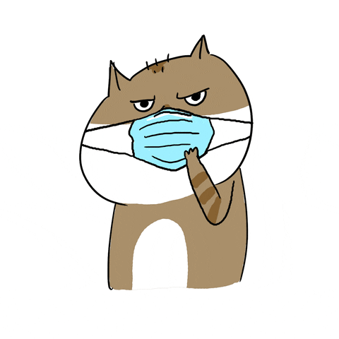 Анимация Медицинская маска бьет кота по глазам, гифка Медицинская маска бьет кота по глазам
