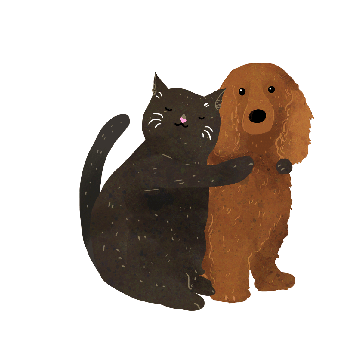 Анимация Черный кот обнимает собаку