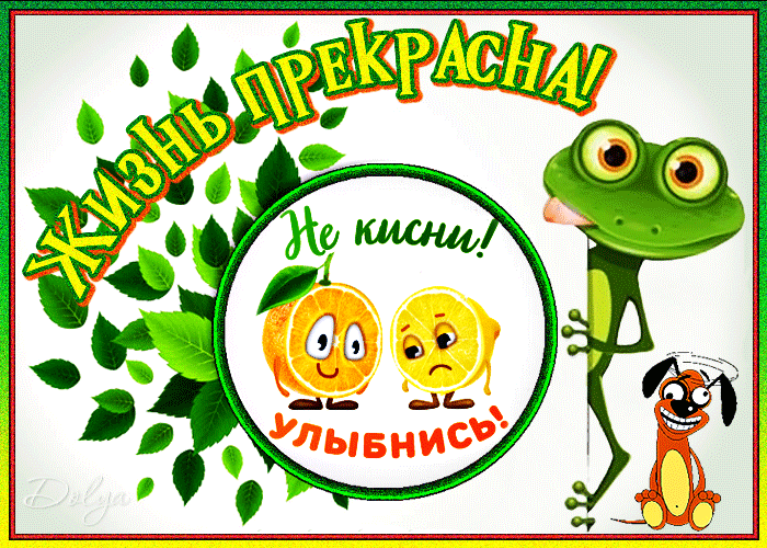 Анимация Оптимистичные лягушенок, апельсин и собака желают лимону не киснуть и улыбаться (Жизнь прекрасна! Не кисни! Улыбнись!), гифка Оптимистичные лягушенок, апельсин и собака желают лимону не киснуть и улыбаться (Жизнь прекрасна! Не кисни! Улыбнись!)