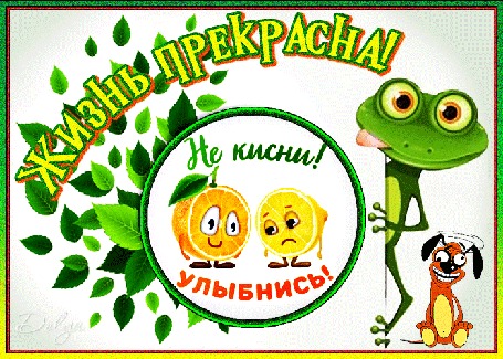 Анимация Оптимистичные лягушенок, апельсин и собака желают лимону не киснуть и улыбаться (Жизнь прекрасна! Не кисни! Улыбнись!)