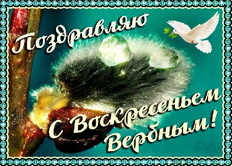 Анимация Над веточкой вербы парит голубь (Поздравляю с воскресеньем вербным!)