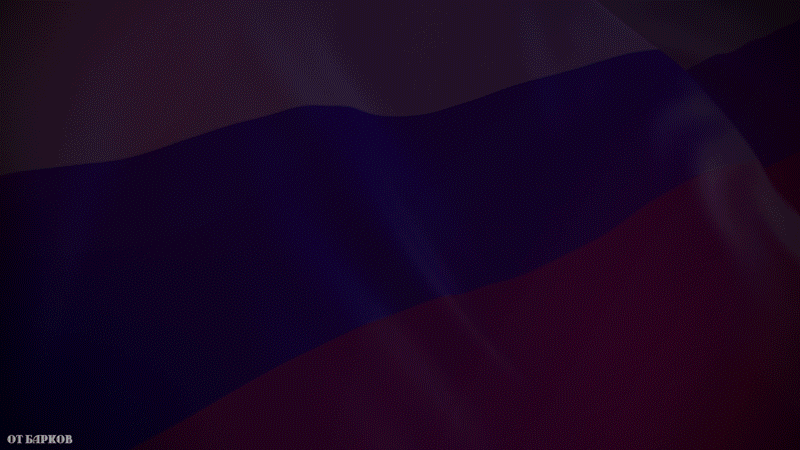 Анимация Салют (12 Июня ДЕНЬ РОССИИ) by Барков, гифка Салют (12 Июня ДЕНЬ РОССИИ) by Барков
