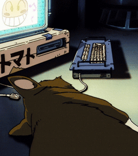 Анимация Кошка лежит на столе перед экраном, гифка Кошка лежит на столе перед экраном