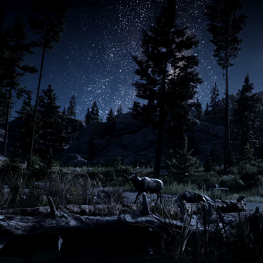 Анимация Олени в ночном лесу, by Mikael, гифка