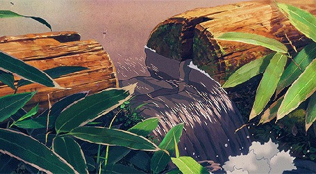 Анимация Насекомые над водой