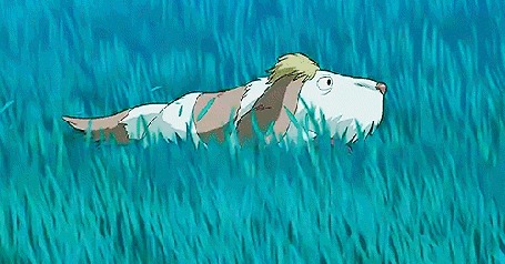 Анимация Хин / Heen из аниме Ходячий замок / Howl no Ugoku Shiro