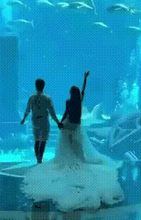 Анимация Парень на фоне морского аквариума поднимает девушку на руки и целует, гифка