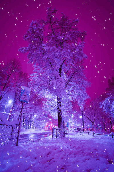 Анимация Ночной бульвар, идет снег, на тротуаре сугробы, гифка