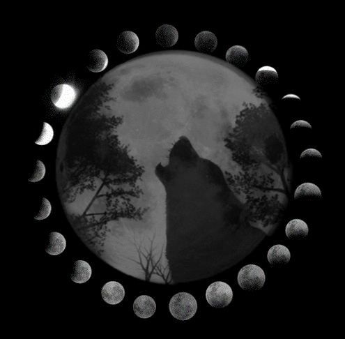 Анимация Изображение большой луны на черном фоне серого цветового оттенка, вокруг которой вращаются маленькие луны, означающие фазы, каждой из этих лун, на которой изображен волк среди деревьев, который воет на ту же луну, гифка
