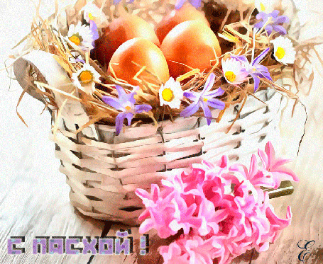 Анимация Корзинка с яйцами ромашками и розовый гиацинт (С Пасхой!)