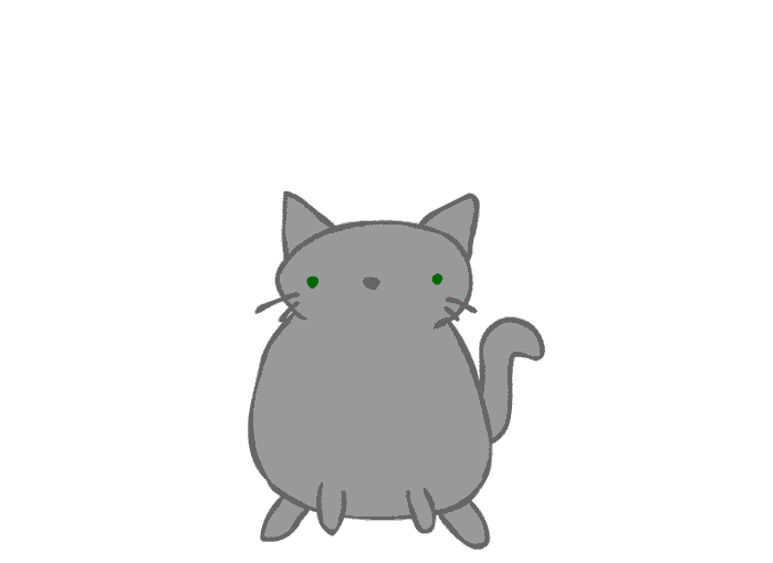 Анимация Пухлый серый кот прыгает на животе как мячик на белом фоне, гифка Пухлый серый кот прыгает на животе как мячик на белом фоне