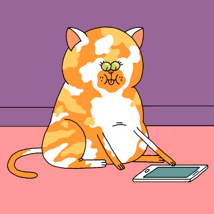 Анимация Бело-рыжий кот с забавный лицом нажимает лапкой по экрану телефона, гифка Бело-рыжий кот с забавный лицом нажимает лапкой по экрану телефона
