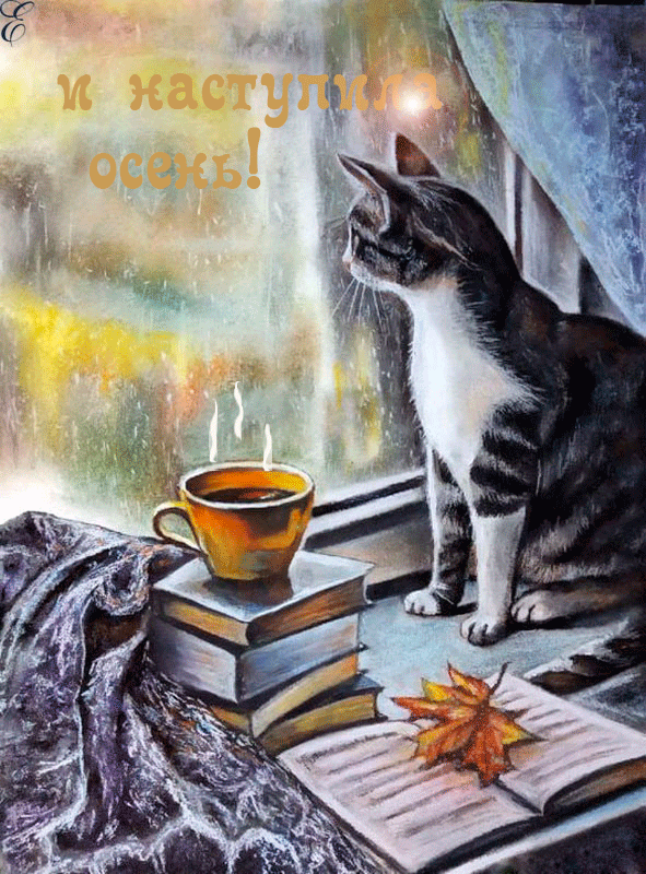 Анимация Кот сидит возле окна, а рядом с ним лежат книги и стоит кружка с кофе и лежит рядом желтый лист (и наступила осень), гифка
