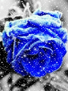 Анимация Синяя роза под снегопадом, гифка Синяя роза под снегопадом