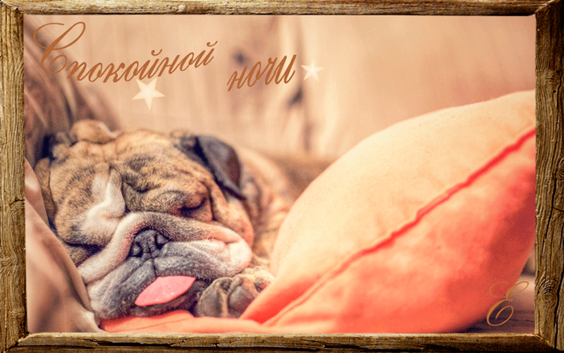 Анимация Собака спит на подушке с высунутым языком (Спокойной ночи), гифка
