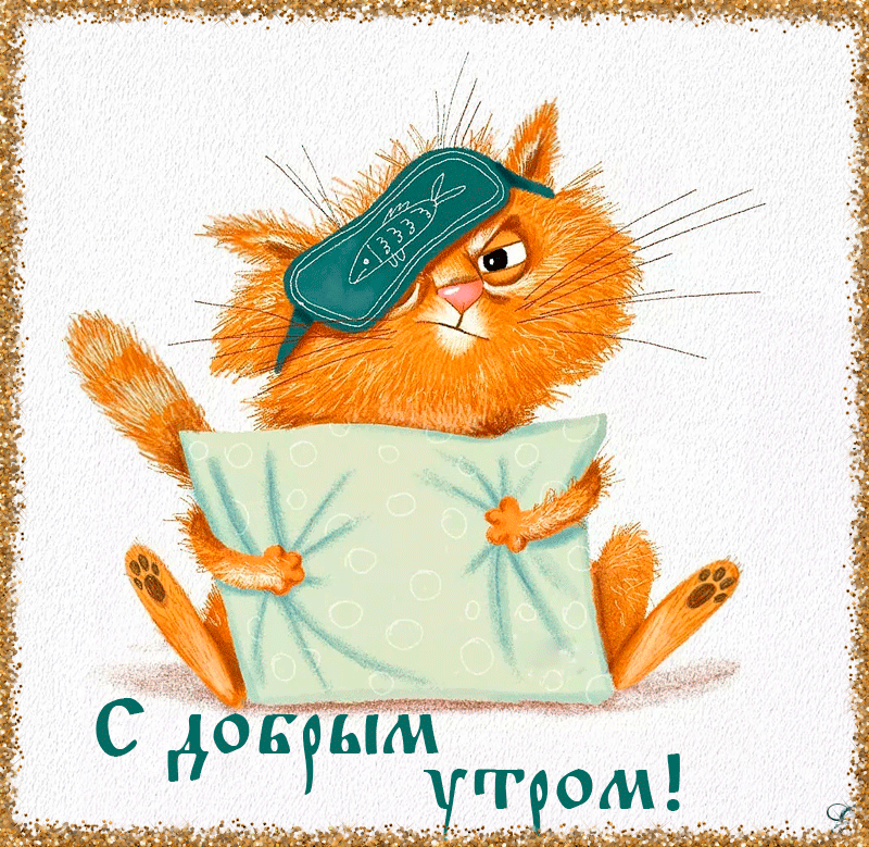 Анимация Кот с подушкой и недовольной мордой (С добрым утром!), гифка