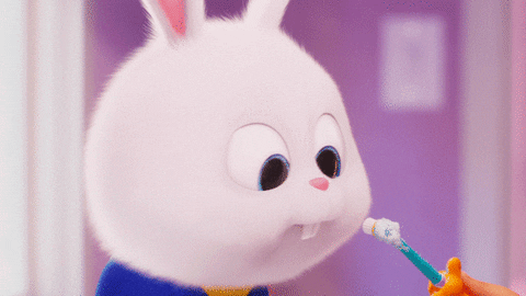Анимация Кролик Снежок, персонаж из мультфильма Тайная жизнь домашних животных / The Secret Life of Pets чистит зубы, гифка