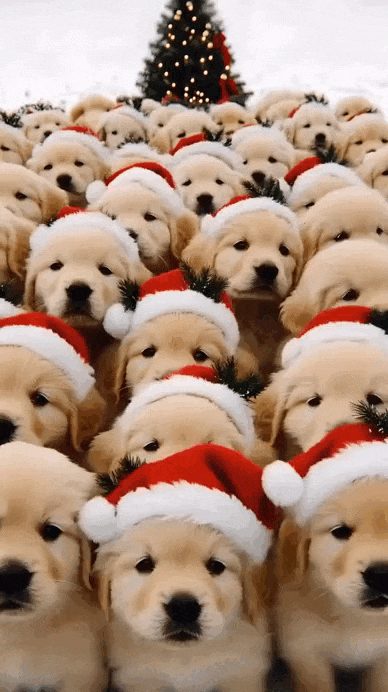 Анимация Щенки готовы к Новому году, гифка Щенки готовы к Новому году